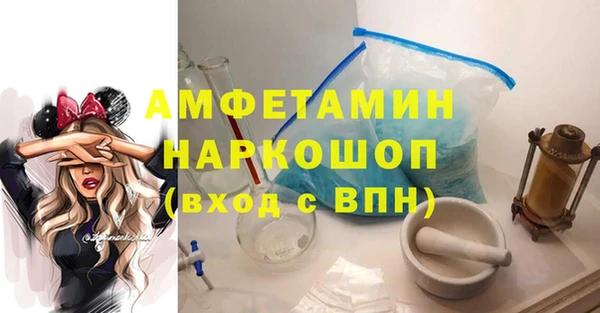 гидра Беслан