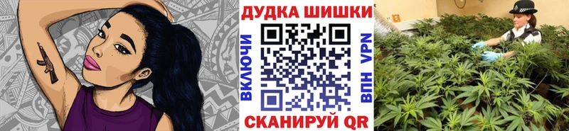 Канабис SATIVA & INDICA  OMG ТОР  Иннополис 